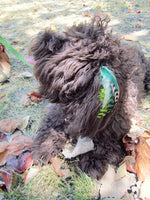 feather extensions for dogs