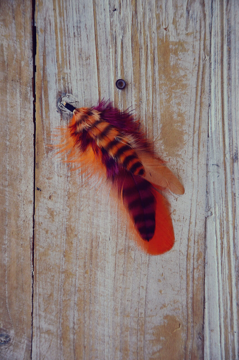 dog feathers orange