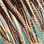 Put the Lime in the Coconut Feather Earrings