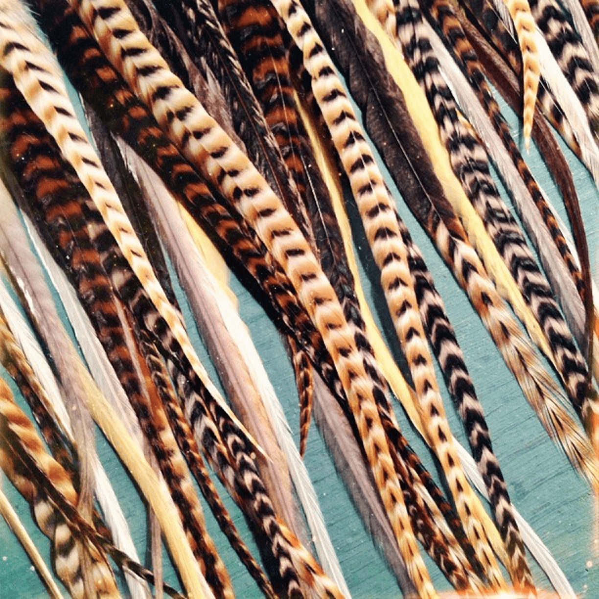 Put the Lime in the Coconut Feather Earrings