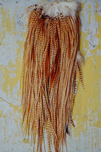 Coconut Grizzly hair feathers