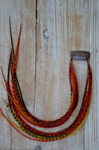 clip in feather extensions