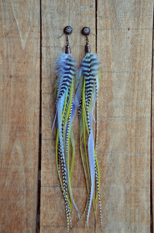 Long Feather Earrings (Peacock) - Peiote Traditional Jewelry