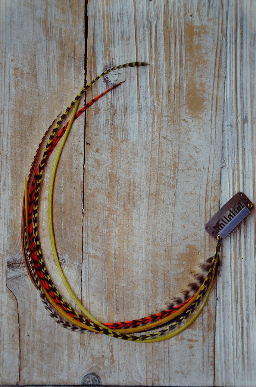 clip in feather extensions