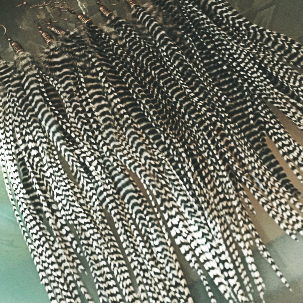 everyday feather earrings medium