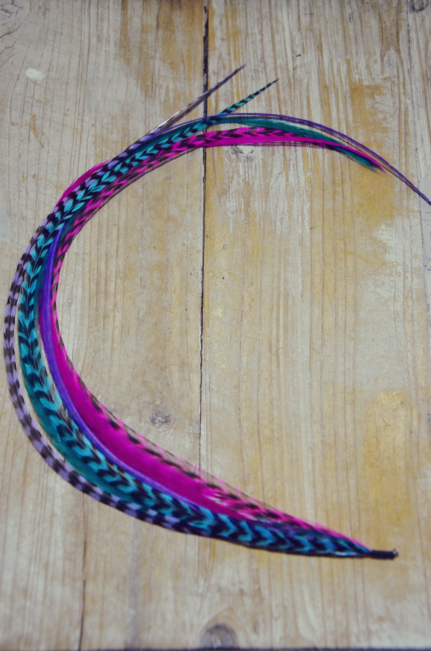 hair feathers
