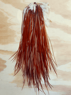 Single Hair Feather | Extra-Long 15+ inches