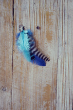 dog feathers blue
