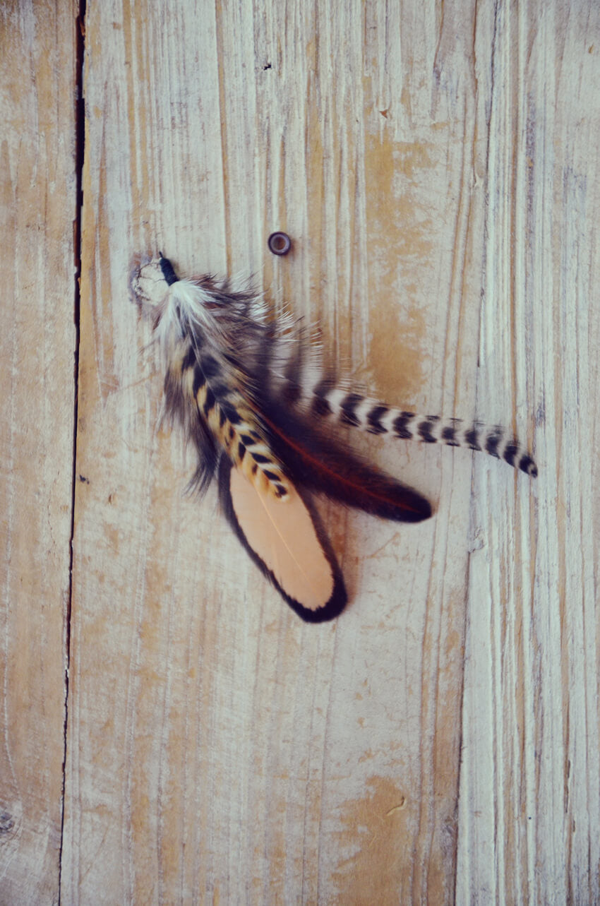 dog feathers saddle brown