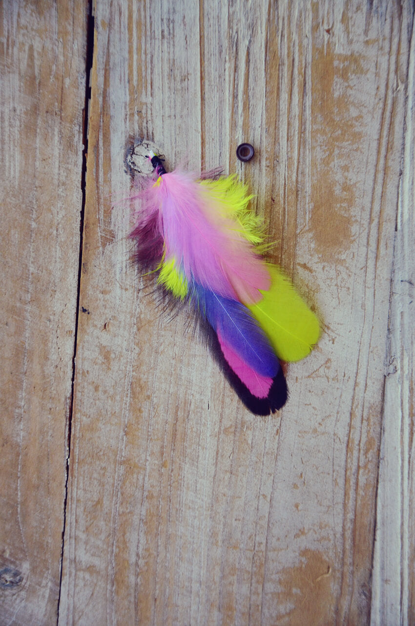 dog feathers orchid bright