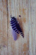 dog feathers purple