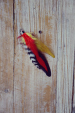 dog feathers red