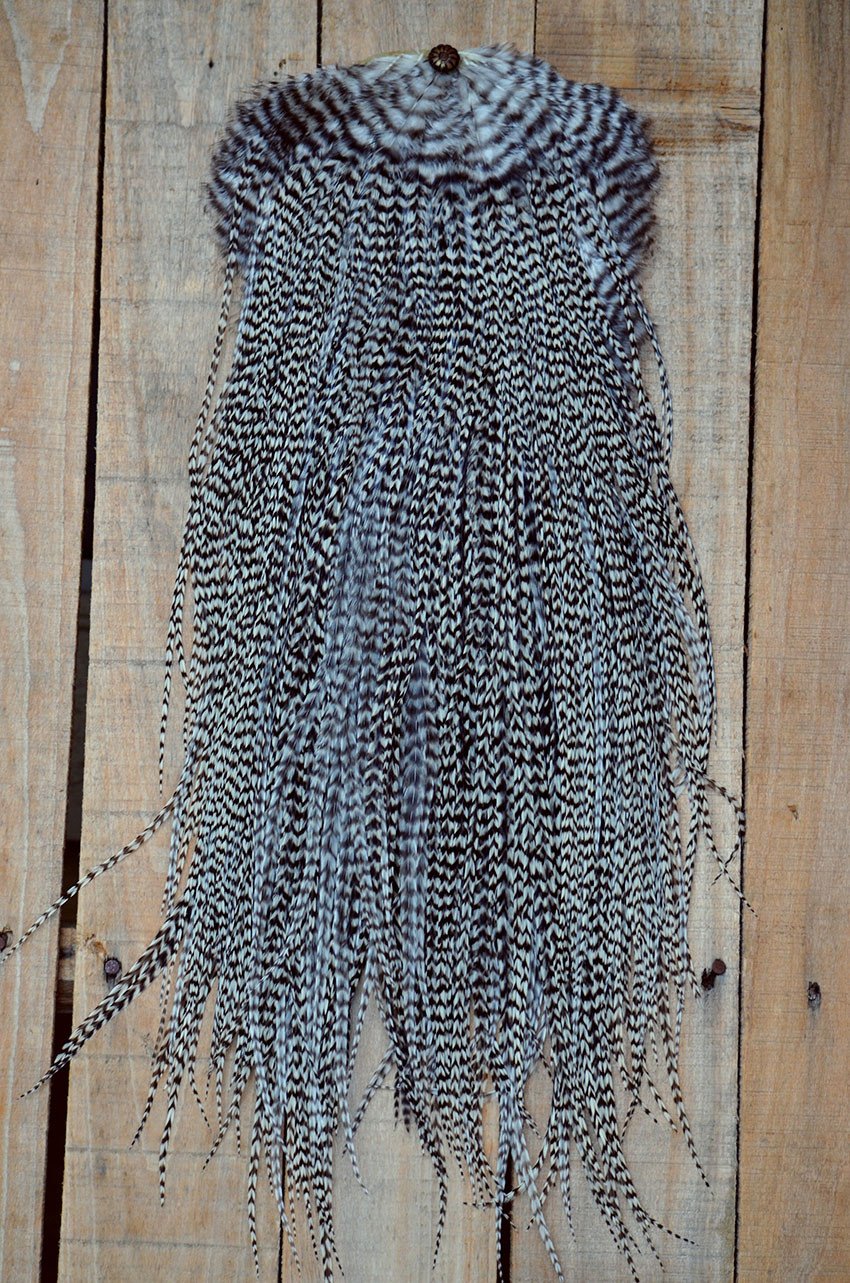 Single Hair Feather | Extra-Long 15+ inches