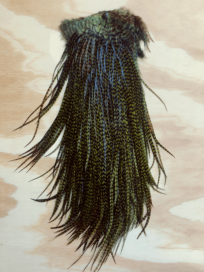 Extra-Long Hair Feathers | 15+ inches