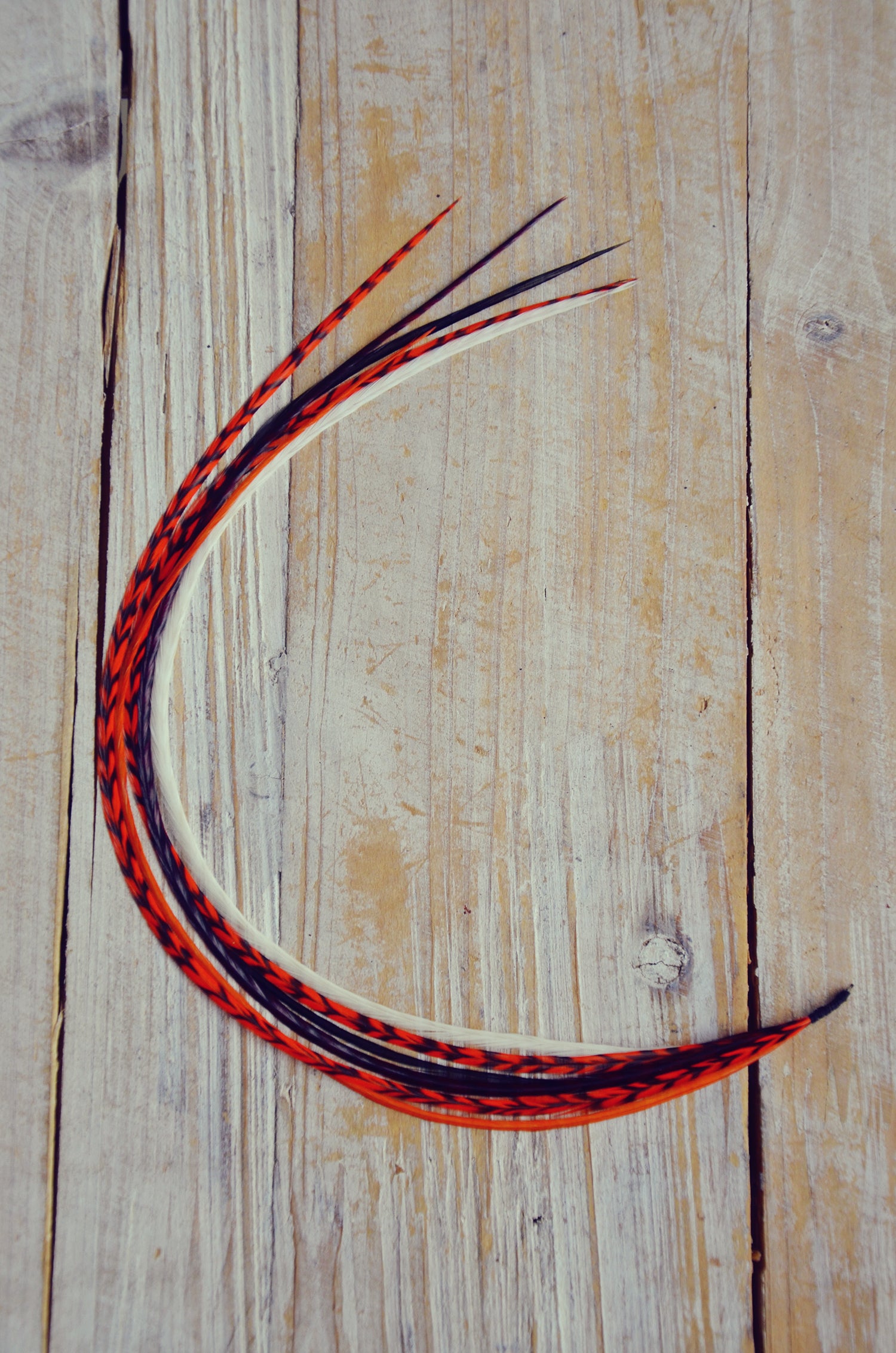 hair feathers orange