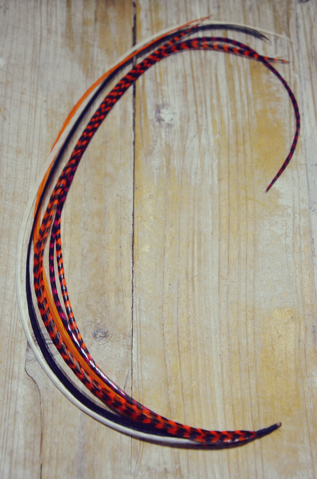 long hair feathers orange