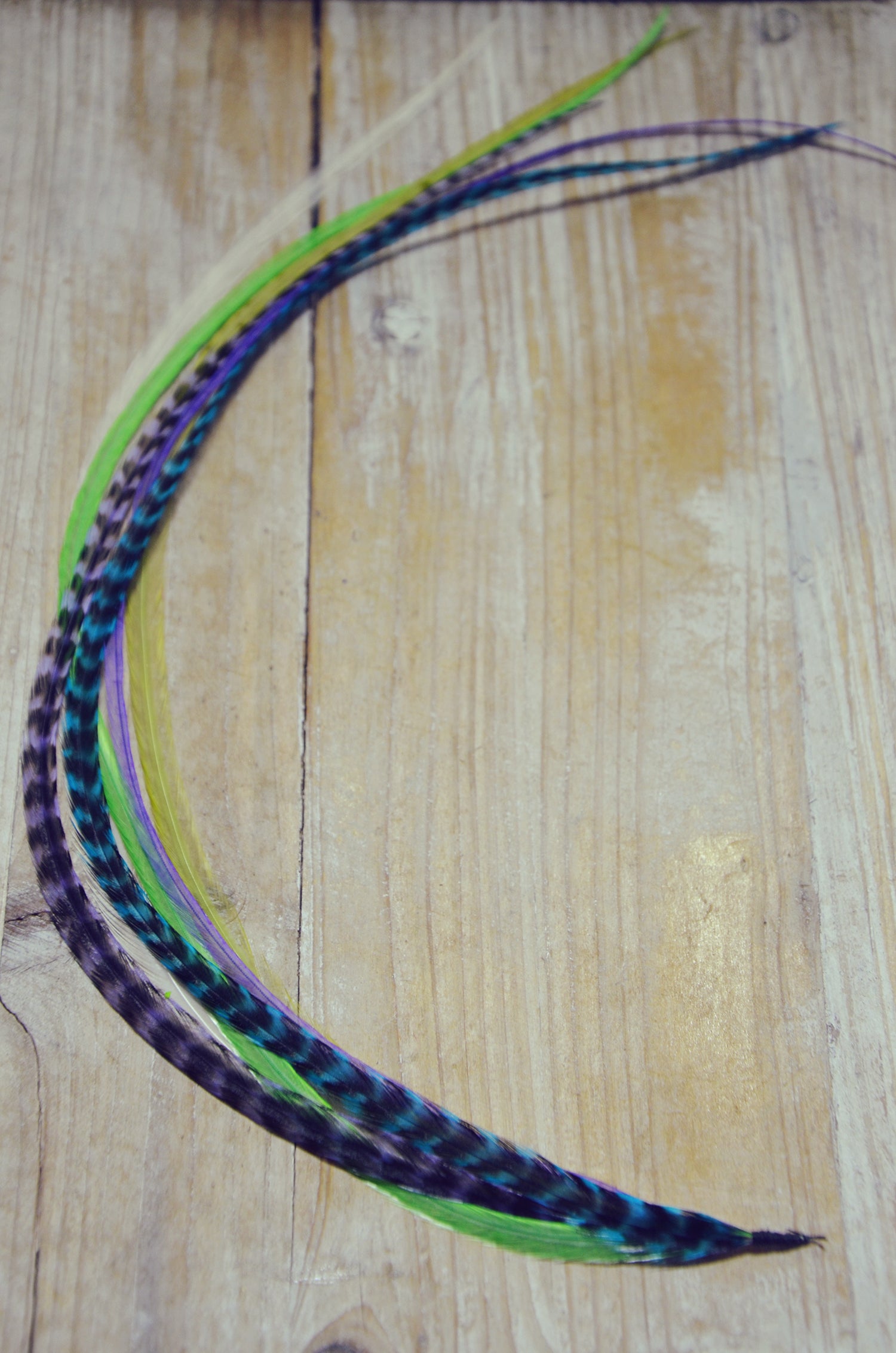 long hair feathers peacock