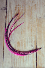 hair feathers pink