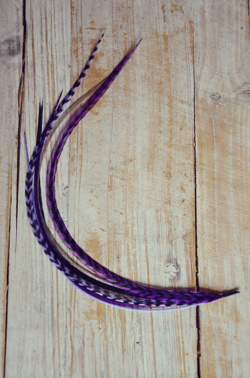 hair feathers purple