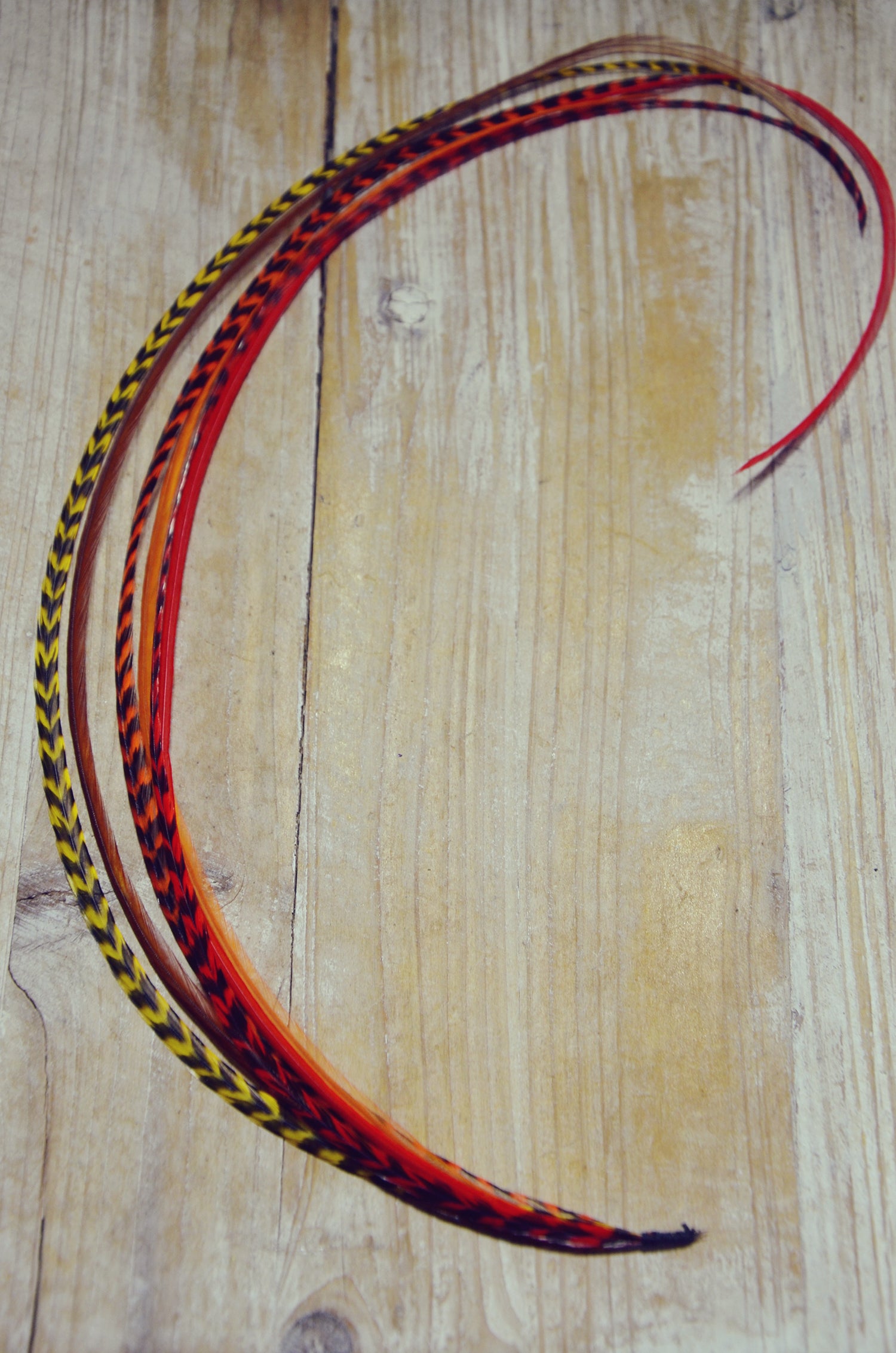 long hair feathers red