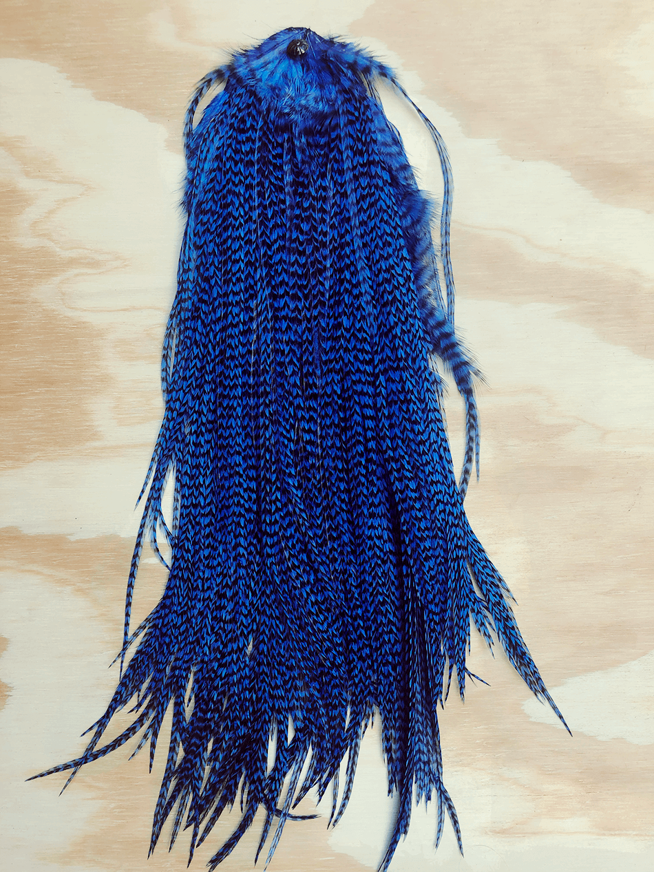 Single Hair Feather | Long 11-14 inches