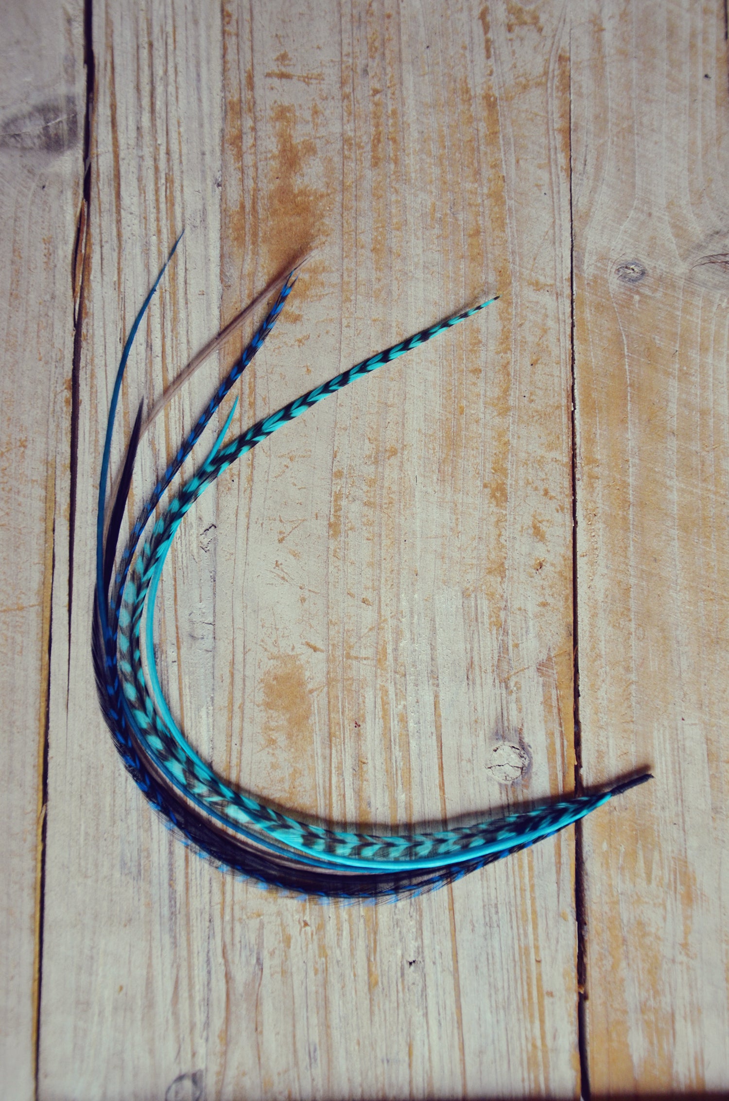 teal hair feathers