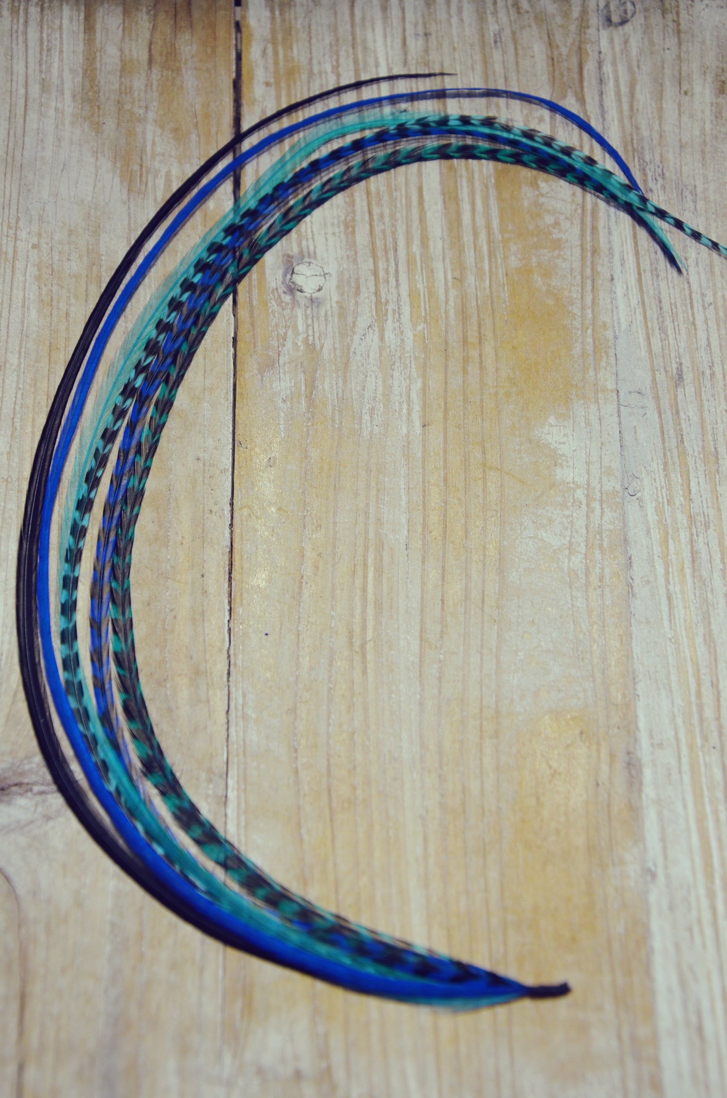 long hair feathers teal