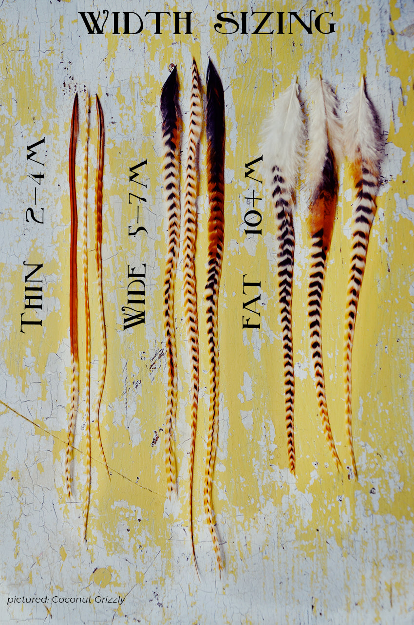 feather width sizing