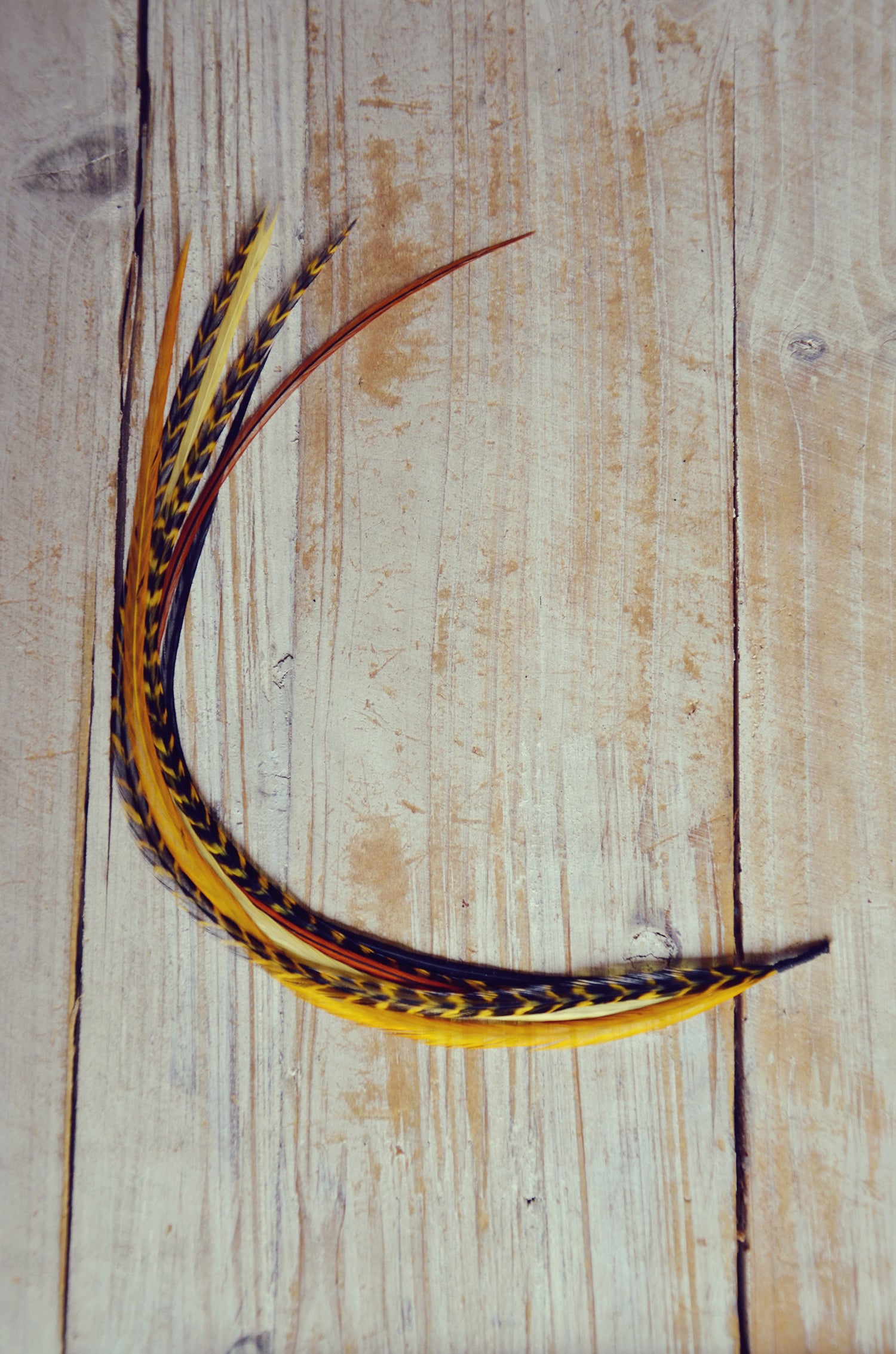 hair feathers yellow