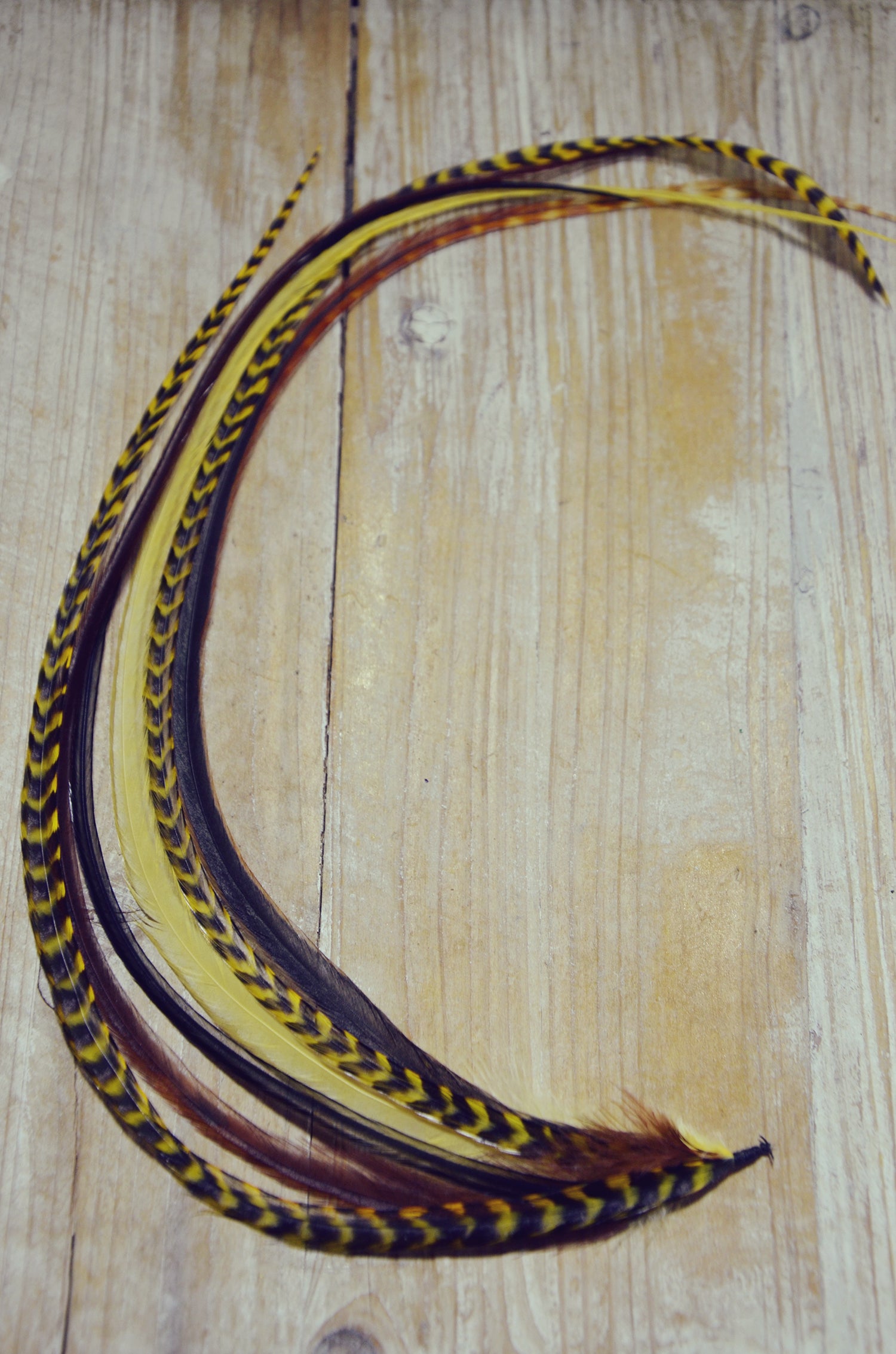 long hair feathers yellow